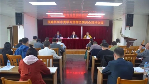 民建梧州市委召開第十三屆委員會(huì)第三次全體會(huì)議